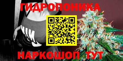 бошки Гусев